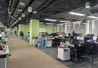 广东宠物服装加工厂哪家好