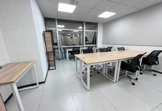 狗狗用宠物益生菌哪个牌子效果好