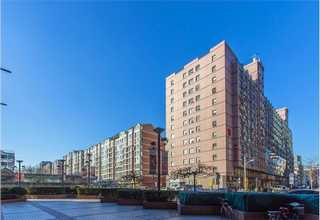 河池冬季柑橘农药加盟费