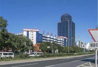 深圳正规的美国花旗松原木价钱